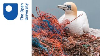 What does the future hold for our coast?