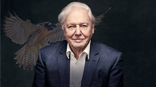 The Peregrine by A J Baker - Ep1