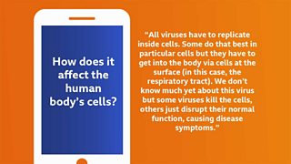 Coronavirus: Your Questions Answered - BBC Bitesize