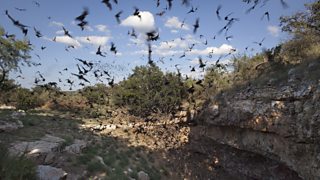 The Virus Hunters: heroes racing to extinguish new pathogens