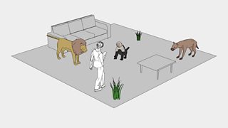 Image shows an educational food chain example mobile AR experience.