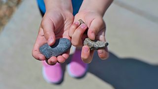 29 things that only people who collect pebbles will understand