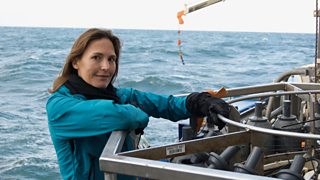 Seven things you need to know to live in harmony with the ocean