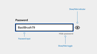 Example of a password input on a subsequent sign-in, with the password visible