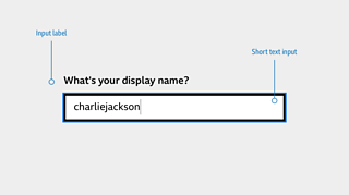 a short text input (on keyboard focus) with an input label asking for a user's display name