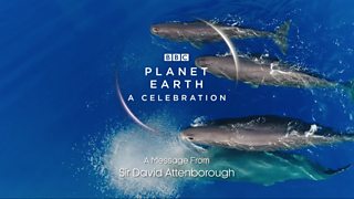 Prequel – Planet Earth: A Celebration