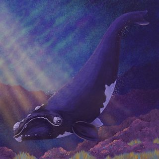 Illustrations of five species we're close to losing forever