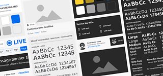An overview of the design system, showing components, colour palettes and typography