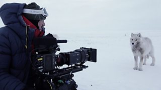 Filming A Perfect Planet: Five challenging shoots for the crew