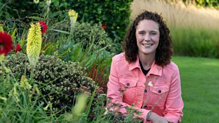 Top tips to create a private paradise in your garden