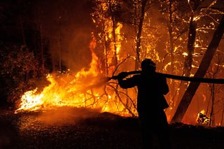 A firefighter tries to put out a wildfire in the north of Athens, Greece, on 5 August 2021