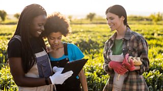 Climate Anxiety: How To Turn Your Worries Into Action - For Young ...