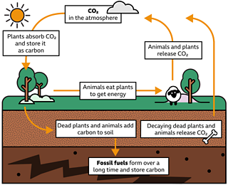 What is climate change? - KS2 - The Regenerators - BBC Bitesize