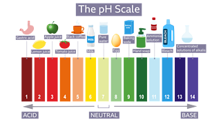 Acids and Alkalis - BBC Bitesize