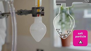 chromatography experiment bbc bitesize