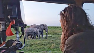 Filming Elephant in the Amboseli Ecosystem