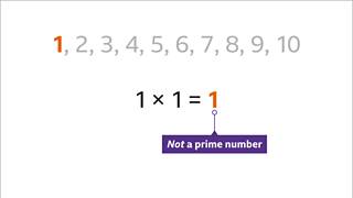 What is a prime? - BBC Bitesize