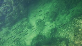 Capturing the magical waters of Bosnia