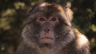 How to find your character