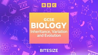 Bitesize Podcasts For GCSE Revision From BBC Bitesize And BBC Sounds ...