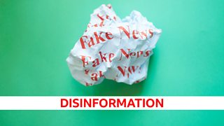 Misinformation vs disinformation: What do these types of fake news mean