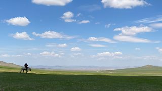 Filming wolves and horses on the endless steppe