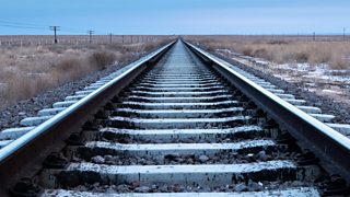Gazelle migration: stopped by the tracks