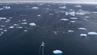 Lessons from killer whales and climate change