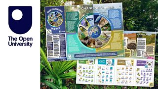 Explore different habitats and make origami animals, or download the poster 'Our Changing World' from The Open University