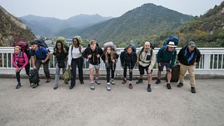Meet the Teams