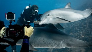 Filming parenthood underwater