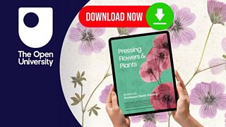 Pressing Plants and Flowers