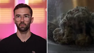 A side by side of a man in glasses and a cannabis bud