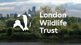 Find our more about nature in your neighbourhood with London Wildlife Trust