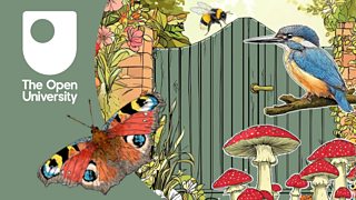 Discover and support the wildlife on your doorstep