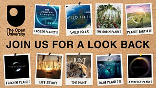 Join The Open University to celebrate 25 years of programming with Sir David Attenborough and discover bonus content