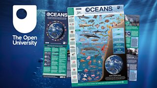 Download a free poster and discover more about life in the oceans