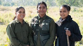 The women who walk with tigers