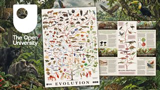 Order your FREE poster from The Open University exploring evolution, biodiversity and the tree of life