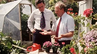 Presenter Hugh Scully talks to gardener Don Hoyle about tending to plants during hot summers