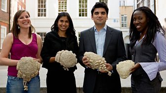 The Barristers