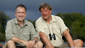 Series 1