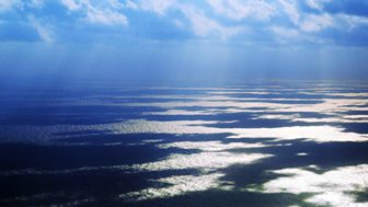 Inside the Bermuda Triangle: The Mysteries Solved
