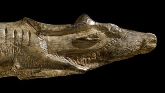 Making Us Human (2,000,000 - 9000 BC)