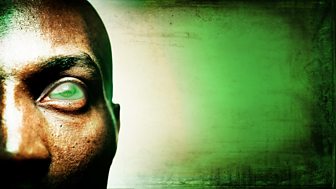 Eye of the Cricket