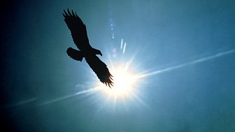 Rosemary Sutcliff - The Eagle of the Ninth