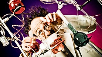 The Incredible Adventures of Professor Branestawm