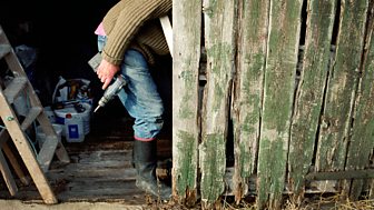 Marcus Berkmann - A Shed of One's Own: Midlife Without the Crisis