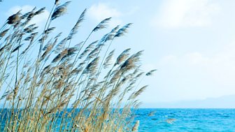 Grazia Deledda - Reeds in the Wind