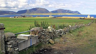 Stooks and Stirks